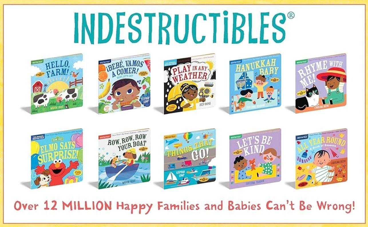 Indestructibles: Beach Baby: Chew Proof · Rip Proof · Nontoxic · 100% Washable (Book for Babies, Newborn Books, Safe to Chew)   Paperback – Picture Book, April 5, 2016