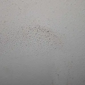 review image 4