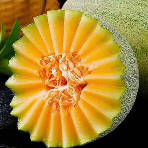 20+ Ancestral Heirloom Melon and Radish Garden Seeds, Non-gmo, Edible, Suitable for Indoor and Outdoor Planting