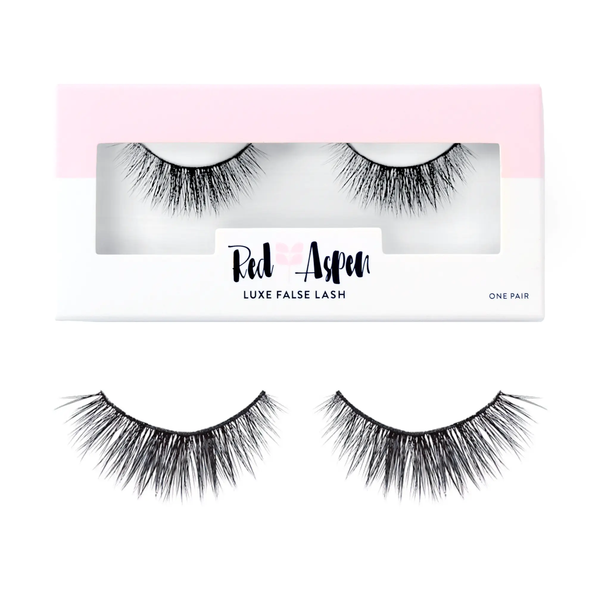 Miss Lash