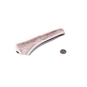 Medium Split Elk Antler Dog Chew - Ideal for Medium Breed Dogs, All Natural USA Grade Elk Antler, Beneficial to Joint and Kidney Function, and Teeth Cleaning