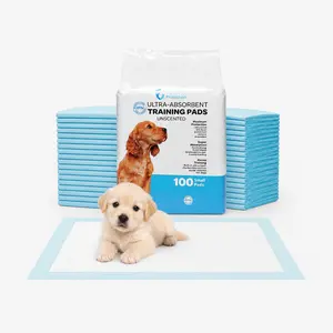 FPN Puppy Pads for Dogs Charcoal Small | Disposable Pee Pads for Puppies & Small Dogs | Pet Training Pads for Potty Training, Small Dog Pee Pads, Puppy Pads Bulk
