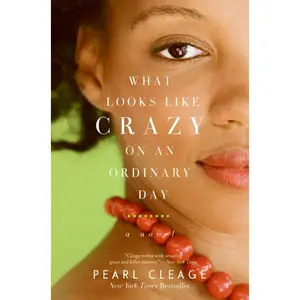 What Looks LIke Crazy On an Ordinary Day (Idlewild: Volume Number 1) by Pearl Cleage [Paperback Book]