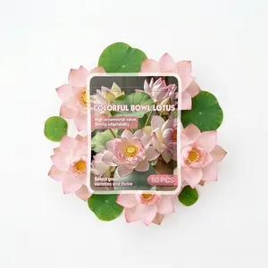 50 Pcs Bonsai Bowl Lotus Seeds – Exotic Water Lily Flower Seeds for Ornamental Ponds and Home Planting