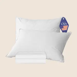 2x Hotel Pillows & Pillowcase Set (Down Alternative)