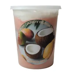 Coconut Mango Gourmet Cotton Candy - Cotton Candy Sensations 200+ Flavors
