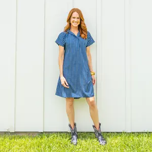 Emily Dress Navy Stripe