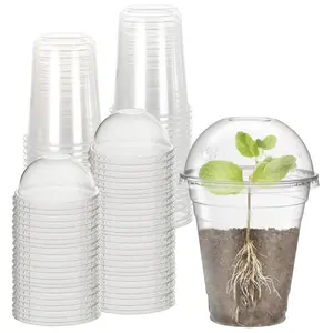 20 Transparent Plastic Flower Pots for Indoor Outdoor Plants, Water Hydroponics, Succulents, Office Desk Decor, Includes 10 Pots + 10 Covers, Grow Kit, Planting Kit