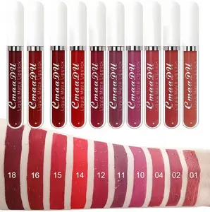 10Pcs Dark Red Liquid Matte Matt Lipstick Set Long Lasting 24 Waterproof Smudge Proof Liquid Catsuit Matte Bulk Lipstick Set for Black Women
