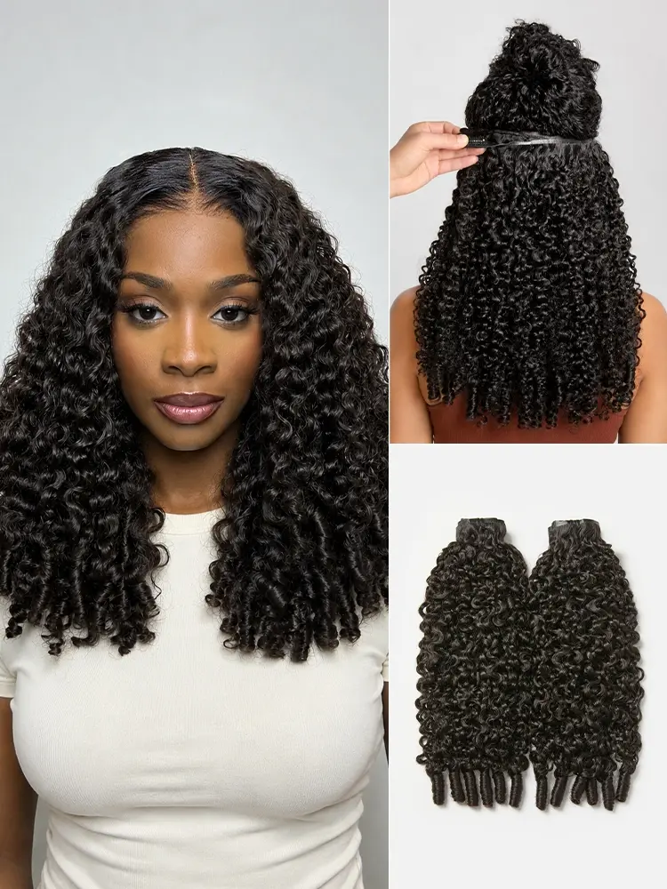 Burmese Curl