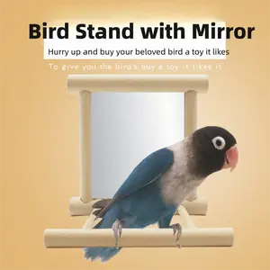 Supplies for Small & Medium Parrots - Bell Toys, Bird Mirrors, Cage Perches & Accessories, Bird Toys