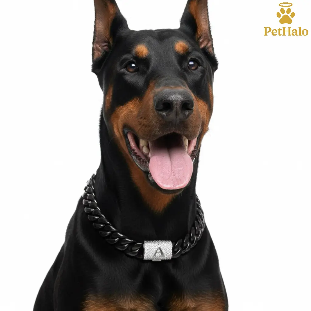 pet necklace Personalized Dog Cuban Link Chain Collar–Stainless