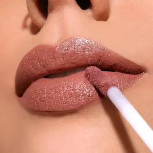 Lip Divine Liquid Lipstick (Sold Out)