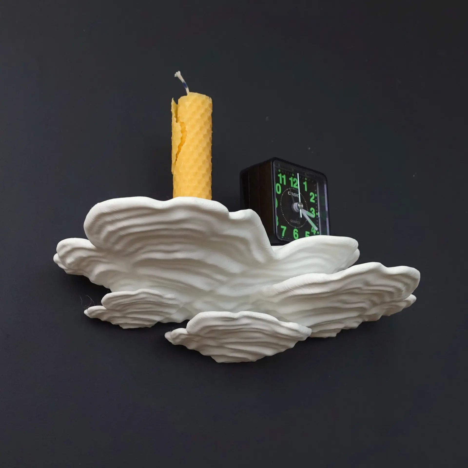 Ostrea Fungus Mushroom Shelf designed by Gazzaladra with Cottagecore/Fairycore aesthetic Decor Shelves Nature Decorative