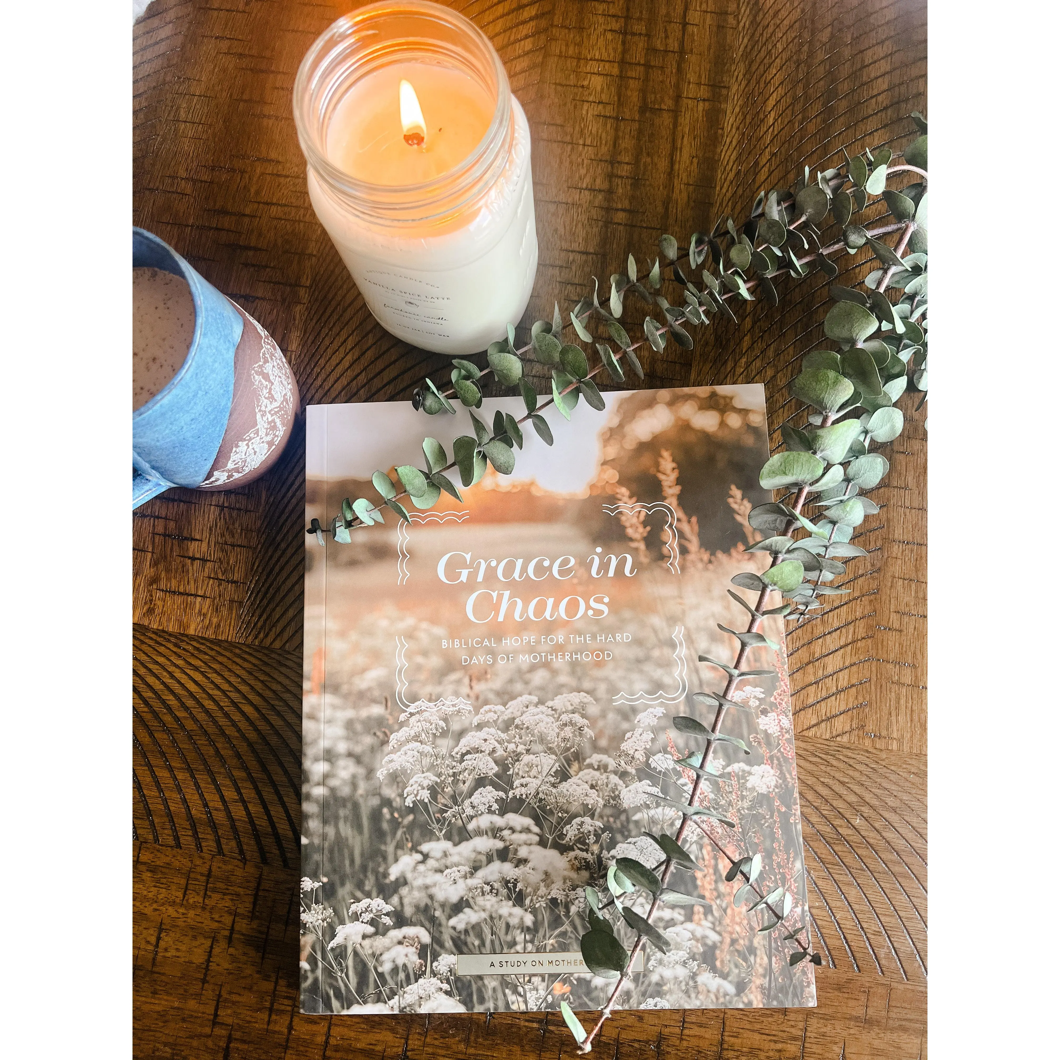 Grace in Chaos | Biblical Hope For the Hard Days of Motherhood