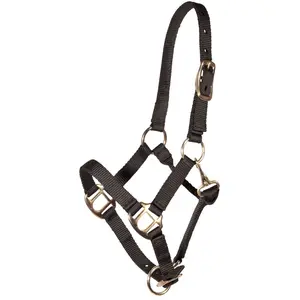 Dura-Tech Nylon Foal Halter