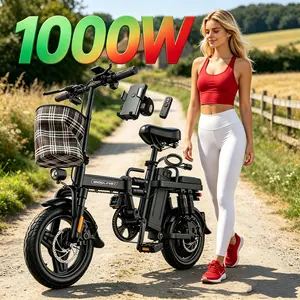 Z1 14 Inch Foldable Commuter E-Bike, 1000W Motor & 48V 15Ah Detachable Battery Up to 48 Miles, High Carbon Steel Dual Disc Brake, LED Display Remote Unlock Electric Bike