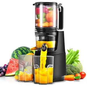 Cold Press Juicer,Slow Masticating Juicer Machines with 5.3" Large Feed Chute for Most Fruits and Vegetables,Easy to Clean Lemon Orange juicer with 250W Motor and High Juice Yield (Obsidian black)