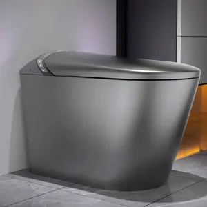 Starry Night Light Smart Toilet with Bidet Built In, Modern Design For Bathroom, Auto Open/Close Seat, Foot Sensor, LED Display,Night Light, Warm Water & Dryer