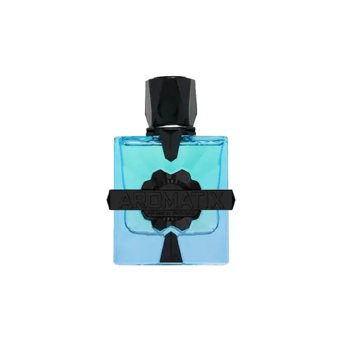 Aromatix Magnetiq by French Avenue - Deeply Elegant Aromatic Perfume, Citrus Splash Unisex Fragrance, Evening Warm Signature Scent, Bright Citrus Bergamot Top Note, Fruity Floral Rosemary & Cedar-Sandalwood-Amber Depth Notes, Scented Bottle Perfume