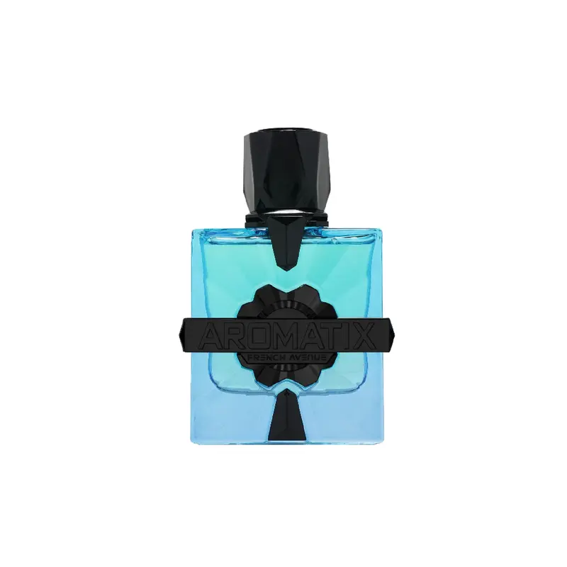 Aromatix Magnetiq by French Avenue - Deeply Elegant Aromatic Perfume, Citrus Splash Unisex Fragrance, Evening Warm Signature Scent, Bright Citrus Bergamot Top Note, Fruity Floral Rosemary & Cedar-Sandalwood-Amber Depth Notes, Scented Bottle Perfume