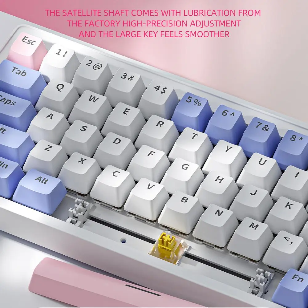 ZIFRIEND ZA63 60% Mechanical Keyboard with Hot-Swappable RGB Dual