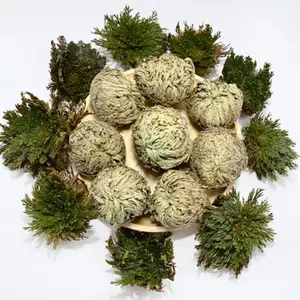 8 Pack Rose of Jericho Resurrection Plants | Rosa de Jerico Dried Fern Prayer Plants for Spiritual Purification, Home Decor, and Unique Gifts