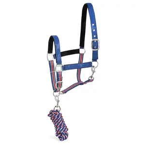 Jeffers Poplar Head Nylon Horse Halter & Lead Matching Set, Full Size