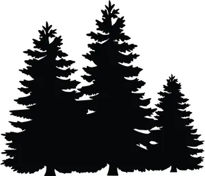 Pine Trees Forest Adventure  (Black) (Set Of ) Premium Waterproof Vinyl Decal Stickers For Laptop Phone Accessory Helmet Car Window Bumper Mug Tuber Cup Door Wall Decoration