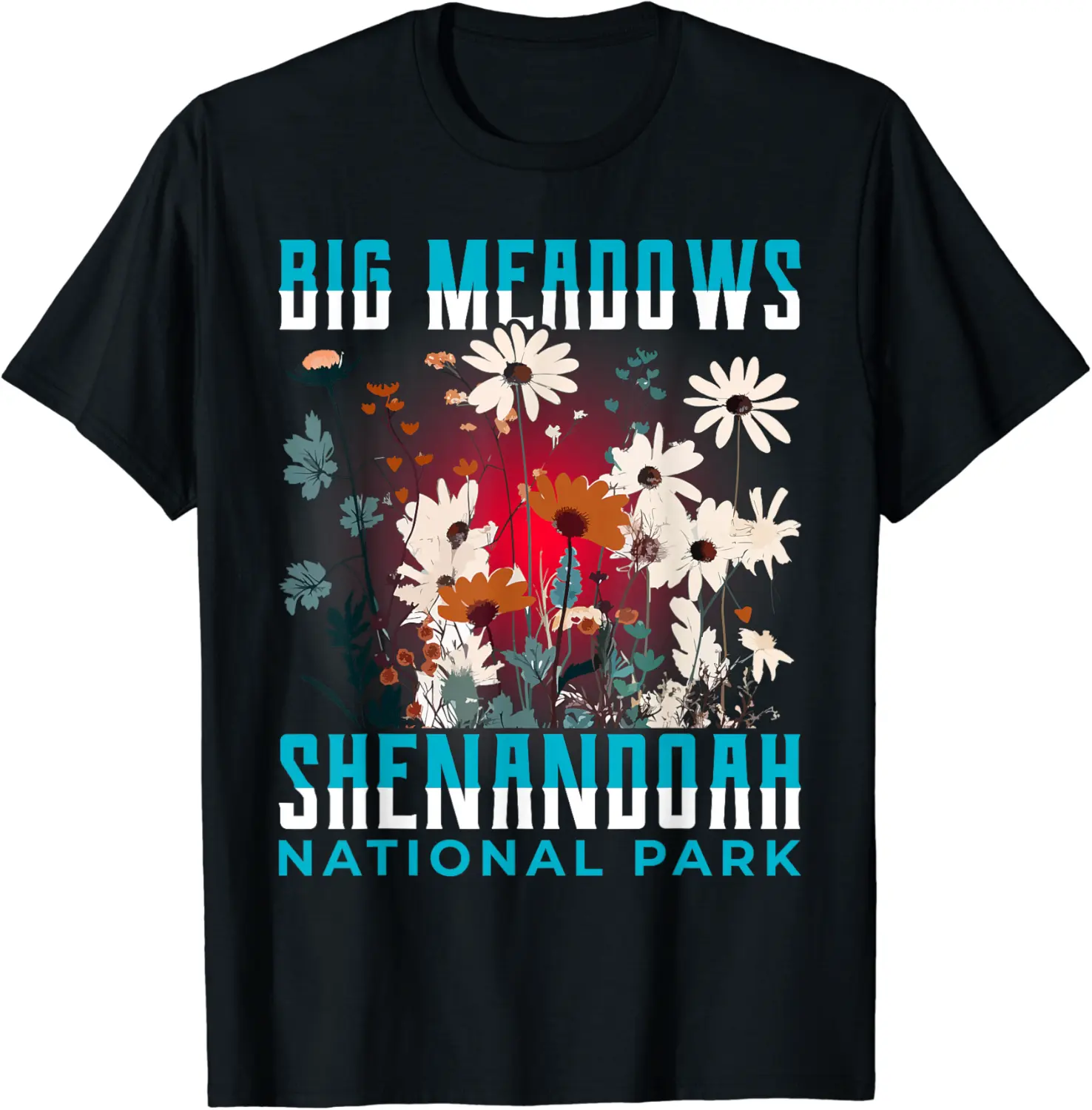 Big Meadows Shenandoah National Park Shirt Virginia T-Shirt - Jessicabal Shop 91B0C9YDXXQZ