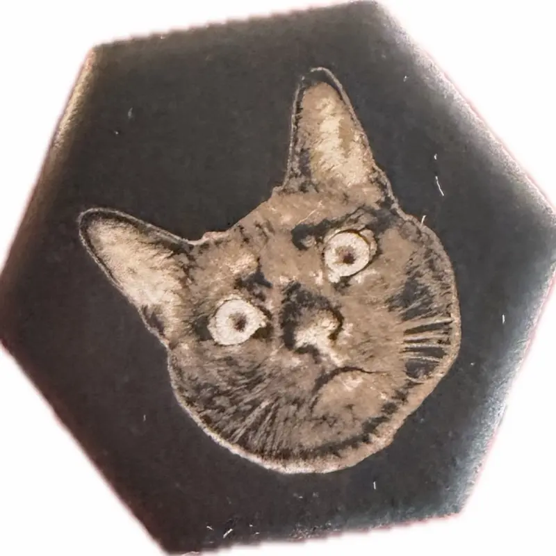 1 Inch Custom Hexagon Tile with Cat Design for Unique Decor