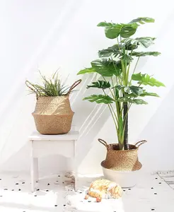 Colourtree 12.6" Diameter x 11" High Seagrass Belly Storage Basket Planter with Handles for Storage, Plant Pot, Laundry, Picnic and Grocery