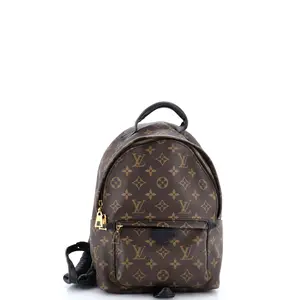 Pre-owned Louis Vuitton Canvas Coated Backpacks Palm Springs Backpack Monogram Canvas PM by Rebag