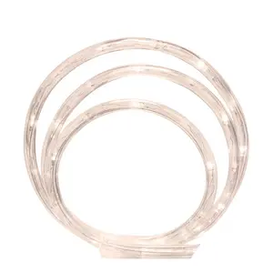 Celebrations  Plastic Christmas LED Rope Light Set Warm White - Pack of 12