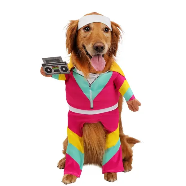 Track Suit 1980s Pet Costume