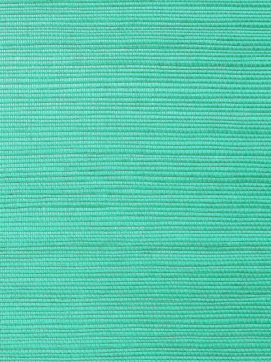 Metallica Sea Green Grasscloth Solid Wallpaper