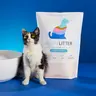 PrettyLitter Health Monitoring Crystal Cat Litter - 1 Lightweight 6 lbs Bag, 1-Month Supply, Odor Control for Litterbox