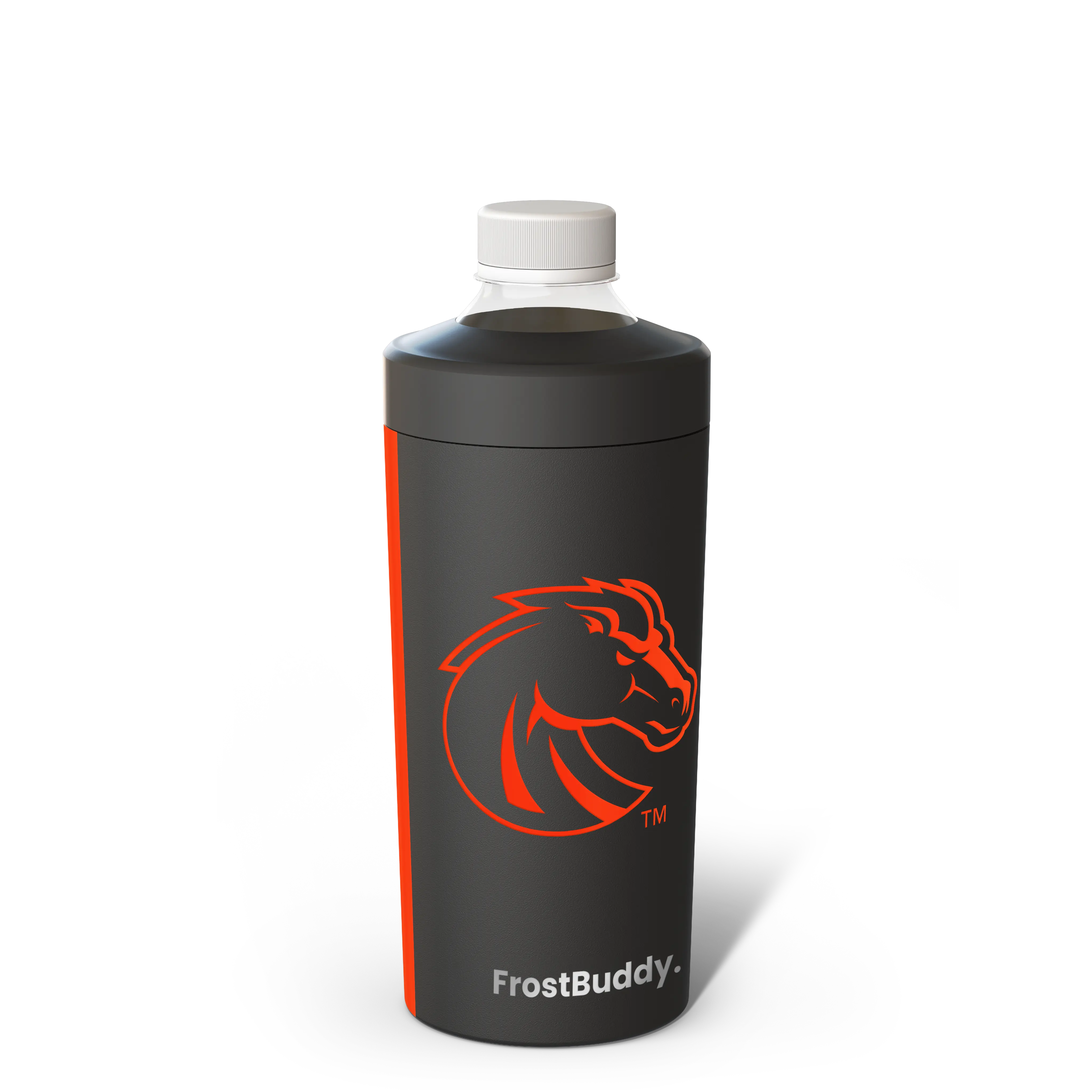 Boise State Broncos 2