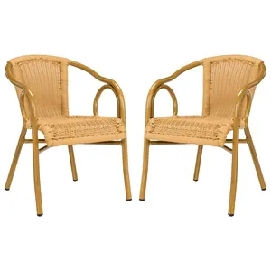 Safavieh Dagny Arm Chair
