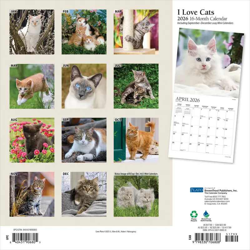 I Love Cats | 2026 12 x 24 Inch (Hanging) Monthly Square Wall Calendar | Foil Stamped Cover | Plato | Feline Kittens Pets 1