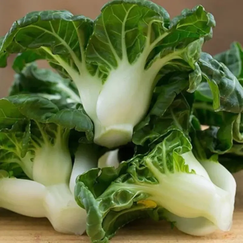 Extra Dwarf Pak Choi Seeds (Brassica rapa subsp. chinensis) Fast-growing compact Asian green with tender stems and mild flavor, perfect for containers and small-space gardens