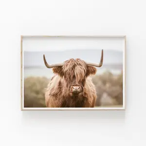 BridgeMusic Highland Cow Print No Frame, Nature Photography, Highland Cow Home Decor, Farmhouse Inspired Decor, Rustic Wall Art Print