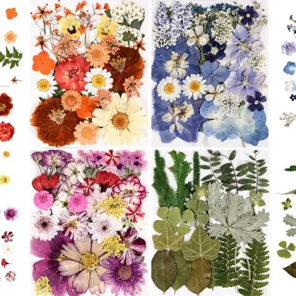 110+ Pcs Dried Pressed Flowers for Resin Crafts Colorful-C | real dry flowers and Leaves with Tweezers for resin molds DIY jewelry, scrapbooking, soap, candles, Nails Décor, Cards