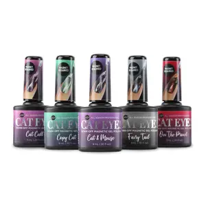 ASP Cat Eye Magnetic Gel Polish