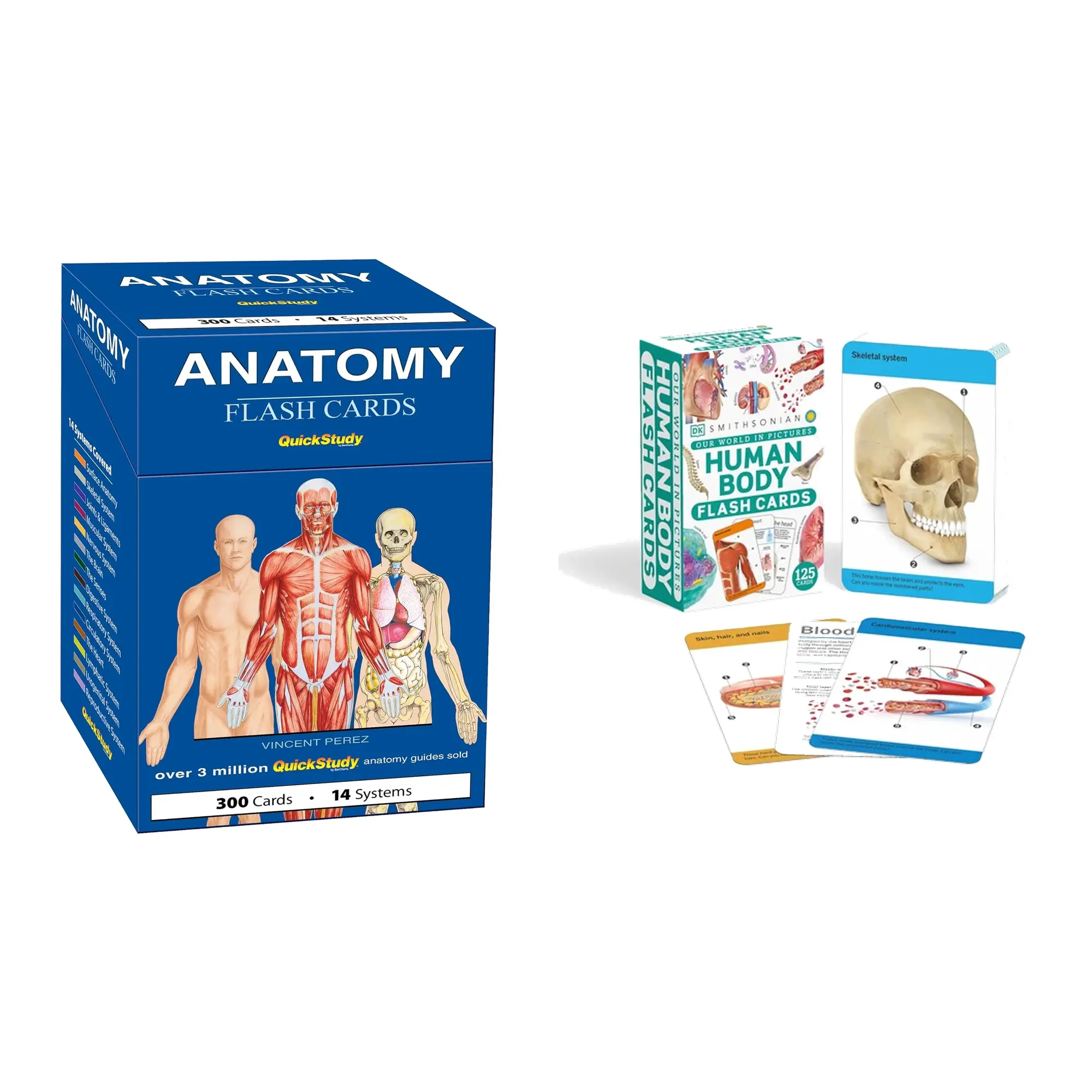 Anatomy Double Deck – QuickStudy 300 Anatomy Flash Cards + DK 125 Human Body Cards | 425-Card Study Set