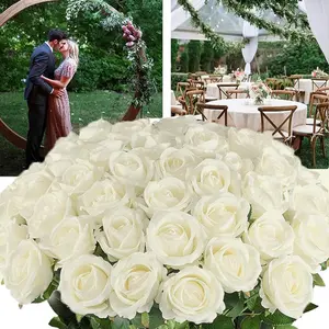 10pcs/20pcs/50pcs Artificial Red Roses Flowers Long Stem Silk Falsa Flor Decorative Bouquet for Home Wedding Party Ornaments Lifelike Fake Plant Fruit Home Decoration