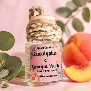 Car Fresheners/Diffusers