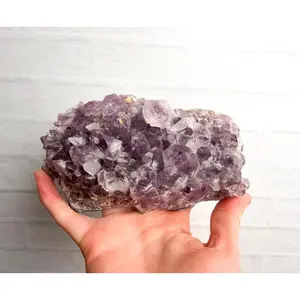 Amethyst Crystal Cluster Specimen 6” 1.8lb – #73