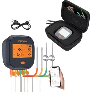 WiFi Meat Thermometer and Case