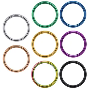 Titanium Plain Hinged Seamless Hoop for Nose, Ear, Lip Piercings